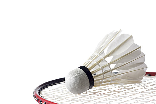 顶级球员在 顶级球员在