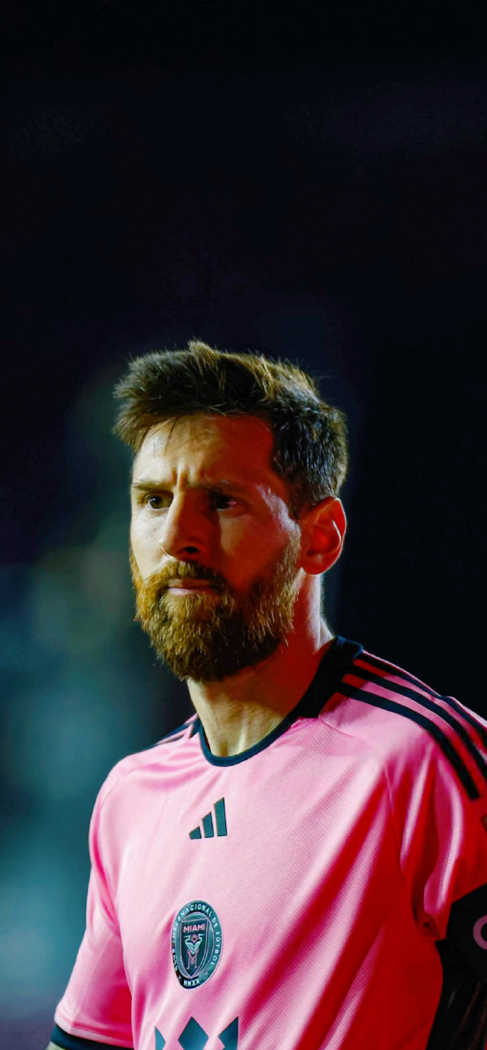 马奇的稳定 马奇的稳定