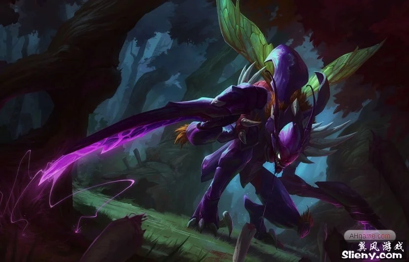 的意大利面 的意大利面