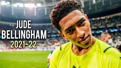 透明的评分 透明的评分